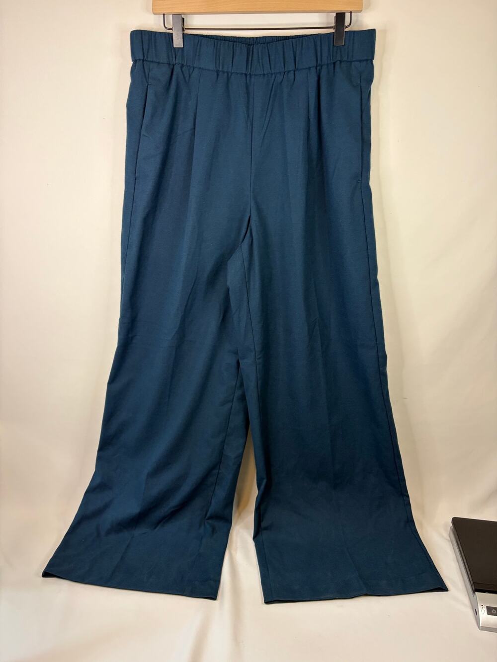 Ann Taylor The Pull on Wide Leg Pant Blue w Pockets Pleated NEW Size Large